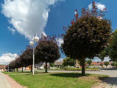 Atregia_OPZP